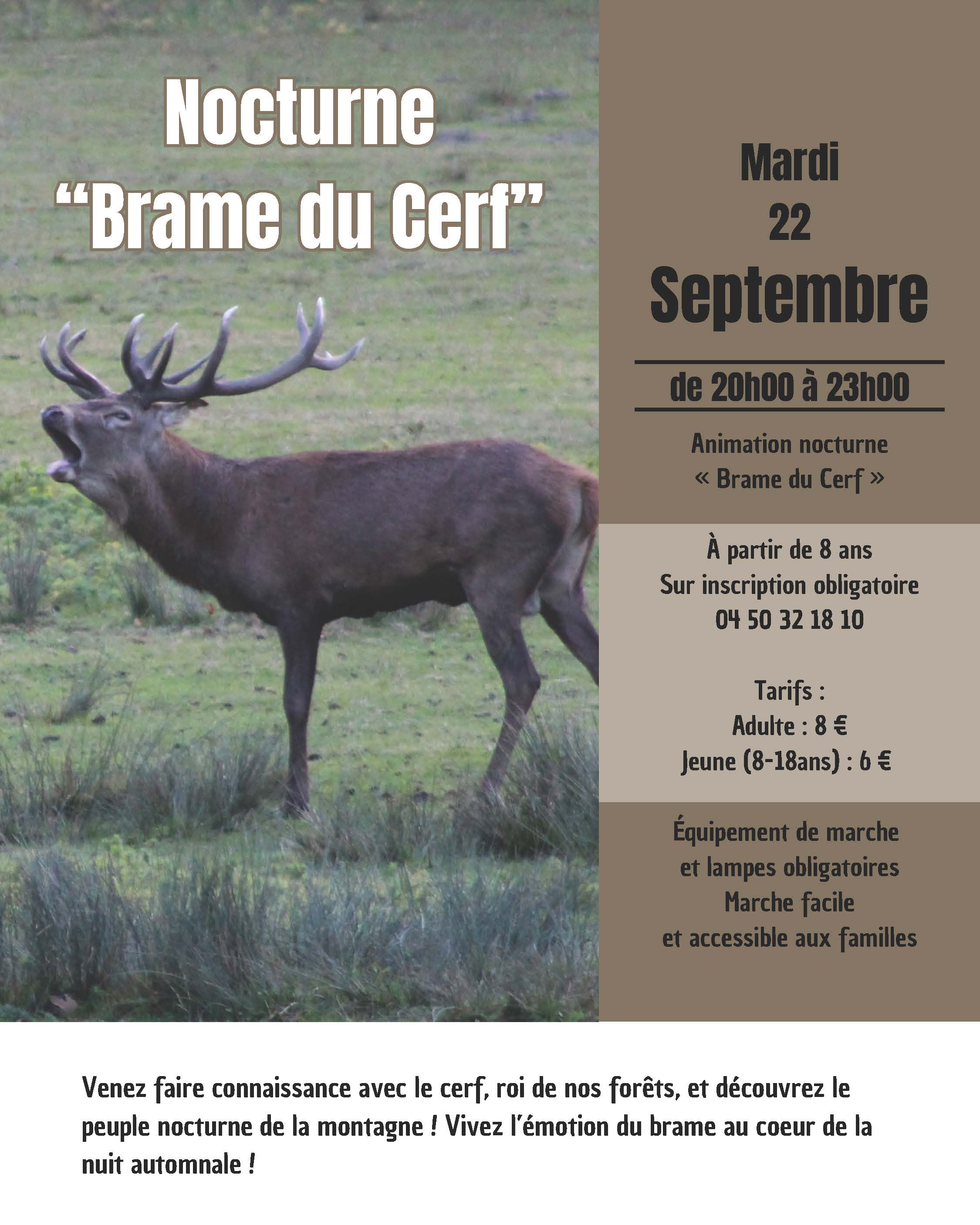 Ecomusee Brame du cerf